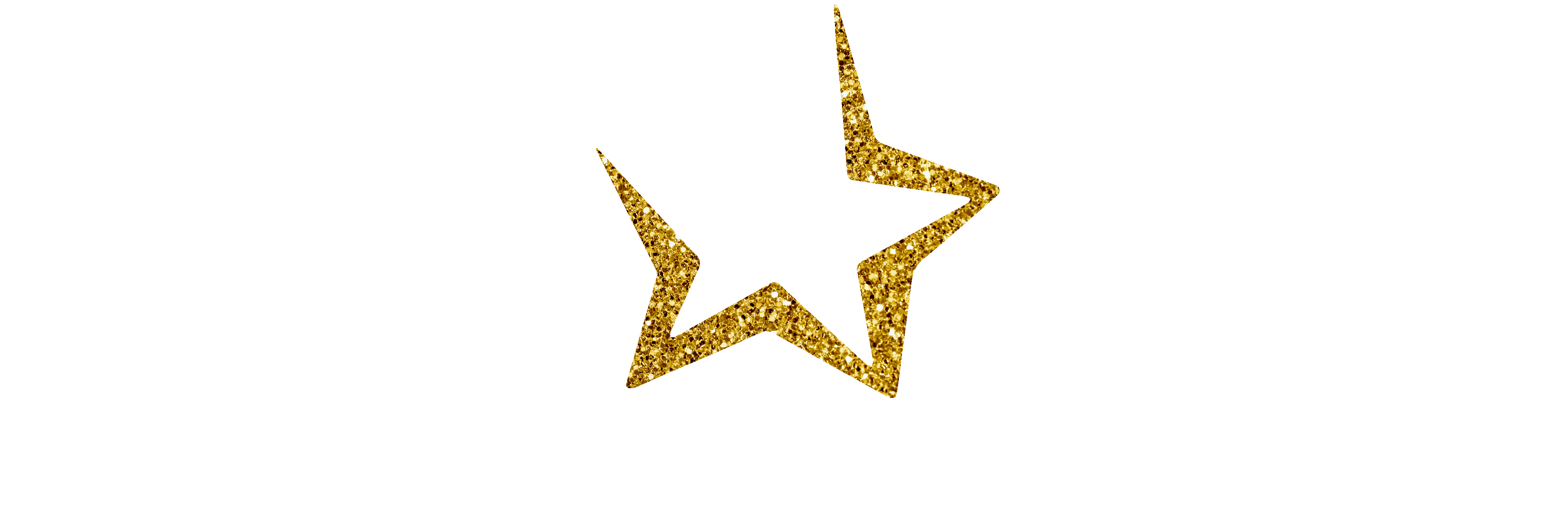 Saco Valley Gymnastics & Training Center – Training Champions For Life!